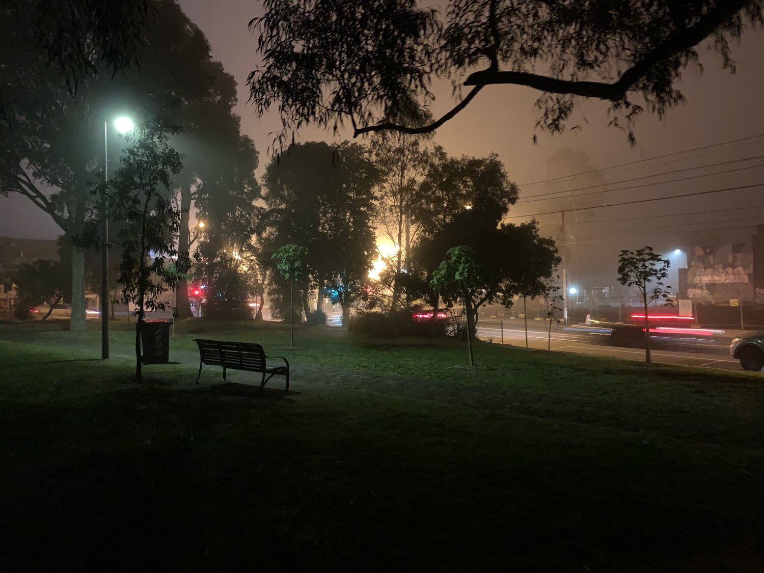 A foggy park in the middle of the night; brake lights and street lamps shine through the trees.